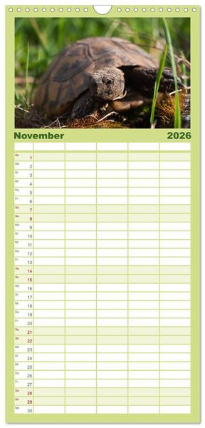 Produktbild: Familienplaner 2026 - Landschildkr&ouml;ten mit 5 Spalten (Wandkalender, 21 x 45 cm) CALVENDO