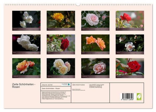 Produktbild: Zarte Sch&ouml;nheiten - Rosen (hochwertiger Premium Wandkalender 2026 DIN A2 quer), Kunstdruck in Hochglanz