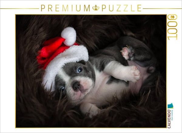 Produktbild: CALVENDO Puzzle Boston-Terrier | 1000 Teile Lege-Gr&ouml;&szlig;e 64x48cm Foto-Puzzle f&uuml;r gl&uuml;ckliche Stunden