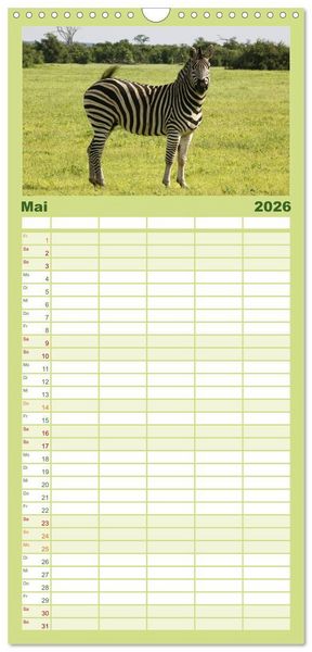 Produktbild: Familienplaner 2026 - Zebras - Faszination der Wildnis mit 5 Spalten (Wandkalender, 21 x 45 cm) CALVENDO