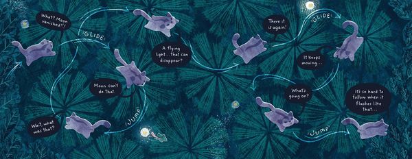 Produktbild: Sugar Glider Lights a Way