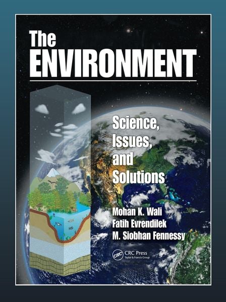 Produktbild: The Environment