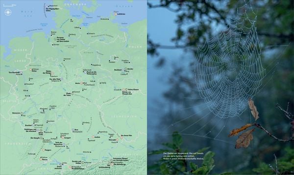 Produktbild: Deutschland f&uuml;r &raquo;Herr der Ringe&laquo; Fans