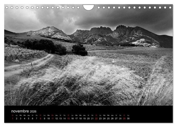 Produktbild: VIGNES DU SUD terroirs d'AOC (Calendrier mural 2026 DIN A4 vertical), CALVENDO calendrier mensuel