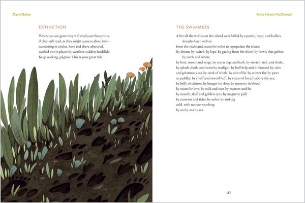 Produktbild: The Gift of Animals