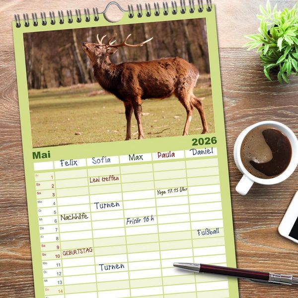 Produktbild: Familienplaner 2026 - Hirsche - K&ouml;nige des Waldes mit 5 Spalten (Wandkalender, 21 x 45 cm) CALVENDO