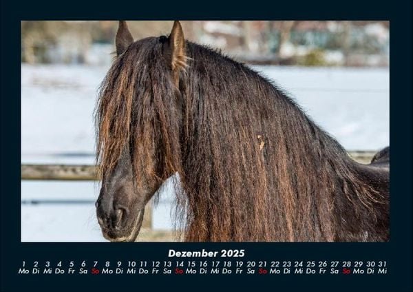 Produktbild: Pferdetraum 2025 Fotokalender DIN A4