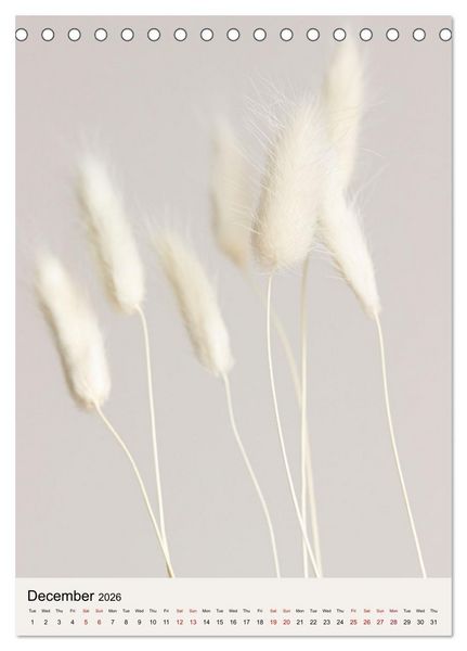 Produktbild: Dried Flowers (Desk Calendar 2026 DIN A5 portrait), CALVENDO 12 Month DeskCalendar