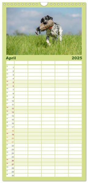 Familienplaner 2025 - Jagdhunde bei der Arbeit mit 5 Spalten (Wandkalender, 21 x 45 cm) CALVENDO