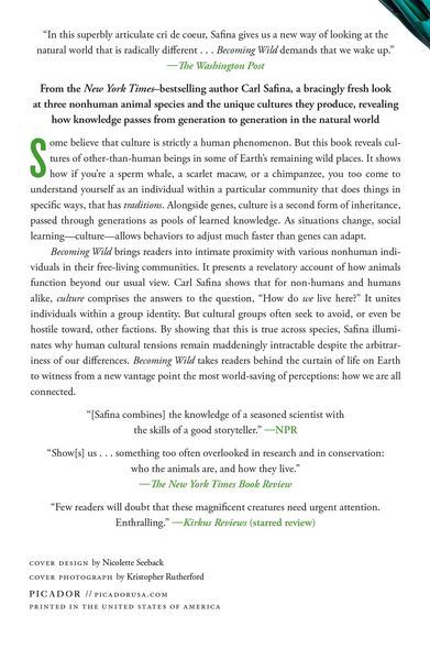 Produktbild: Becoming Wild
