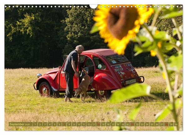 Produktbild: Citro&euml;n 2CV - Ente rot (Wandkalender 2025 DIN A3 quer), CALVENDO Monatskalender