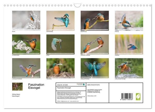 Produktbild: Faszination Eisvogel (Wandkalender 2026 DIN A3 quer), CALVENDO Monatskalender
