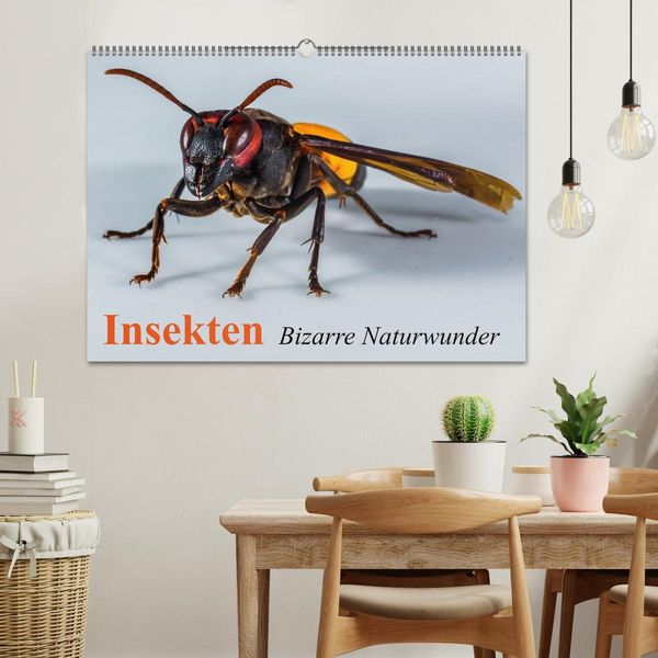 Produktbild: Insekten &bull; Bizarre Naturwunder (Wandkalender 2026 DIN A2 quer), CALVENDO Monatskalender