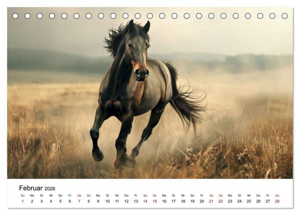 Produktbild: Wilde M&auml;hnen: Ein Jahr mit Pferden (Tischkalender 2026 DIN A5 quer), CALVENDO Monatskalender