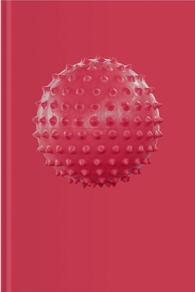 Produktbild: Sophie Hirsch