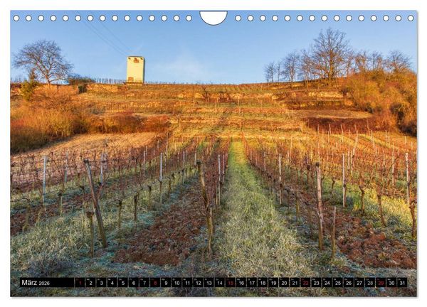 Produktbild: Weinlagen in Franken (Wandkalender 2026 DIN A4 quer), CALVENDO Monatskalender