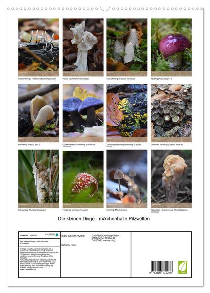 Produktbild: Die kleinen Dinge - m&auml;rchenhafte Pilzwelten (hochwertiger Premium Wandkalender 2026 DIN A2 hoch), Kunstdruck in Hochglanz