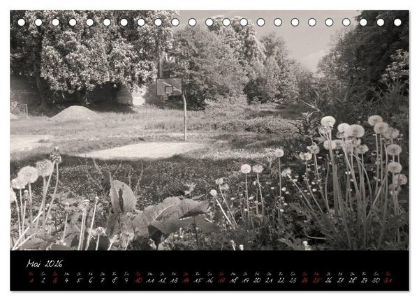 Produktbild: Kaiserswerther Impressionen (Tischkalender 2026 DIN A5 quer), CALVENDO Monatskalender