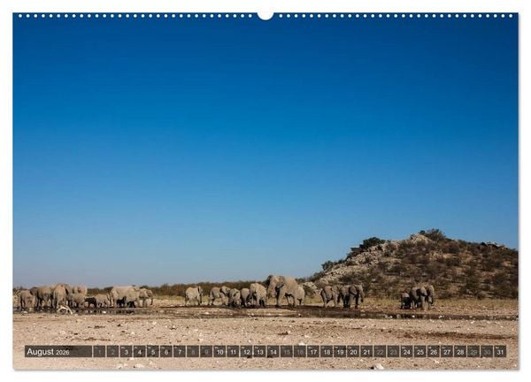 Produktbild: Wildes Namibia (hochwertiger Premium Wandkalender 2026 DIN A2 quer), Kunstdruck in Hochglanz