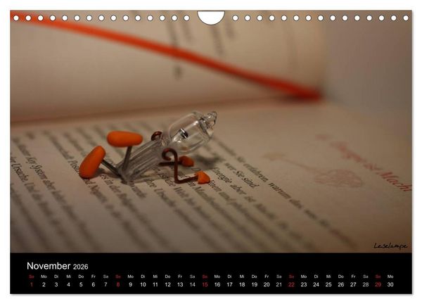 Produktbild: Bernie Blitz - Eine Birne sucht Erleuchtung (Wandkalender 2026 DIN A4 quer), CALVENDO Monatskalender