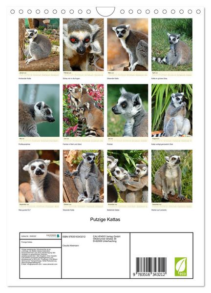 Produktbild: Putzige Kattas (Wandkalender 2026 DIN A4 hoch), CALVENDO Monatskalender