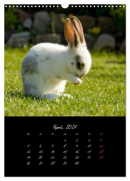Produktbild: Tiere (Wandkalender 2027 DIN A3 hoch), CALVENDO Monatskalender