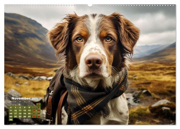 Produktbild: Wahre Kerle (hochwertiger Premium Wandkalender 2026 DIN A2 quer), Kunstdruck in Hochglanz