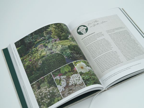 Mdr Garten Das grüne Telefon von Claudia LookHirnschal Buch Thalia