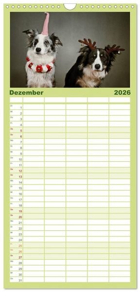 Produktbild: Familienplaner 2026 - Der Bordercollie-Kalender mit 5 Spalten (Wandkalender, 21 x 45 cm) CALVENDO