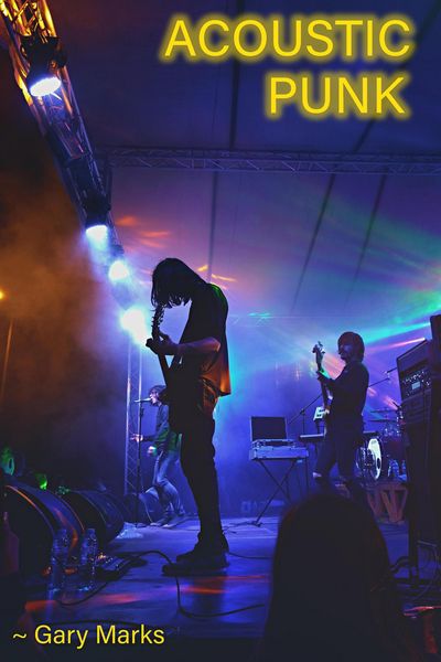 Produktbild: Acoustic Punk