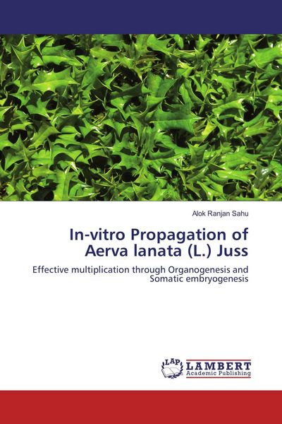 Produktbild: In-vitro Propagation of Aerva lanata (L.) Juss