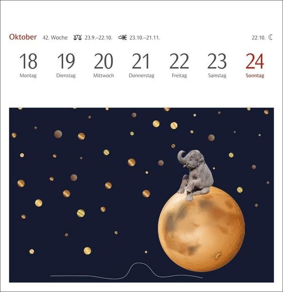 Produktbild: Welches Buch bin ich? Premium-Postkartenkalender 2027 - Literarischer R&auml;tselkalender