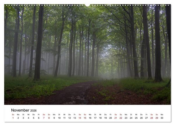 Produktbild: Traumhaftes R&uuml;gen (Wandkalender 2026 DIN A2 quer), CALVENDO Monatskalender