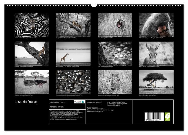 Produktbild: tanzania fine art (High Quality Premium Wall Calendar 2026 DIN A2 landscape),CALVENDO 12 Month Wall Calendar