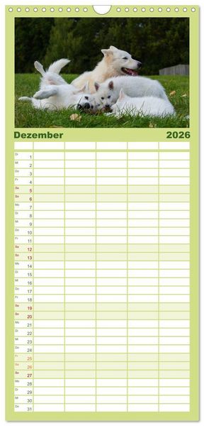 Produktbild: Familienplaner 2026 - Wei&szlig;er Schweizer Sch&auml;ferhund - Ein Tag im Leben einer Hundefamilie mit 5 Spalten (Wandkalender, 21 x 45 cm) CALVENDO
