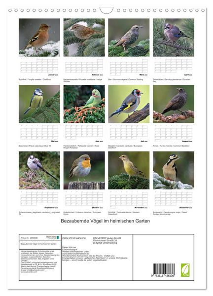 Produktbild: Bezaubernde V&ouml;gel im heimischen Garten (Wandkalender 2026 DIN A3 hoch), CALVENDO Monatskalender