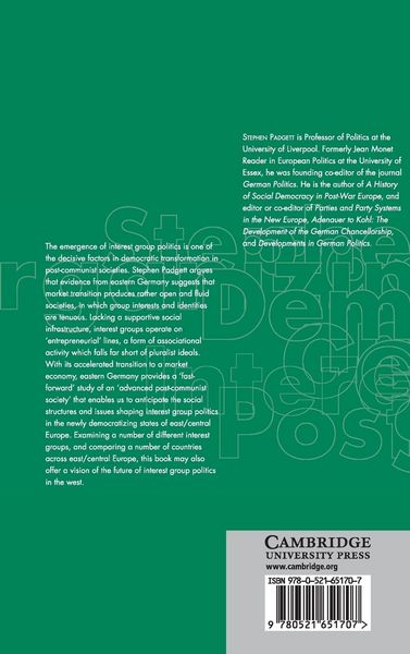 Produktbild: Organizing Democracy in Eastern Germany