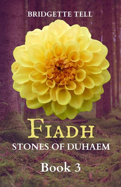 Produktbild: Fiadh: Stones of Duhaem