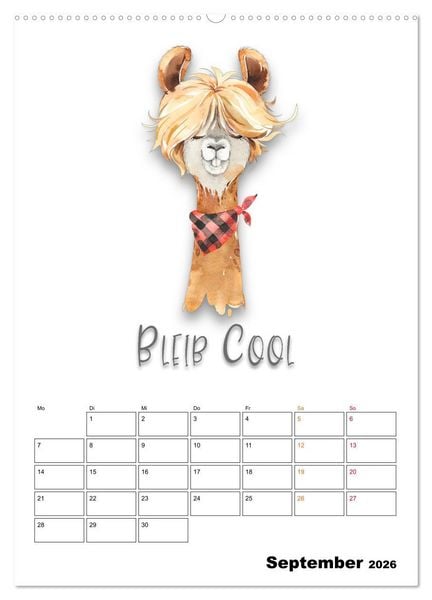 Produktbild: Bleib cool - Gute-Laune-Kalender (Wandkalender 2026 DIN A2 hoch), CALVENDO Monatskalender