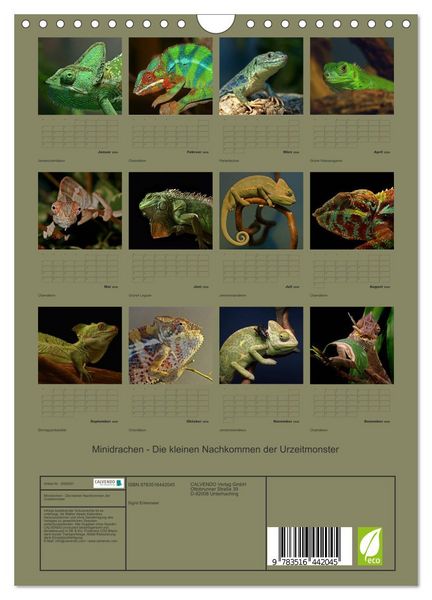 Produktbild: Minidrachen - Die kleinen Nachkommen der Urzeitmonster (Wandkalender 2026 DIN A4 hoch), CALVENDO Monatskalender