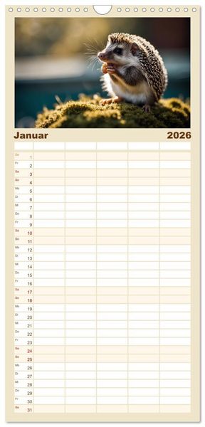 Produktbild: Familienplaner 2026 - Igel - Wildtier des Jahres 2024 mit 5 Spalten (Wandkalender, 21 x 45 cm) CALVENDO