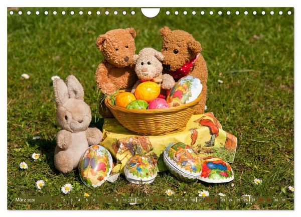 Produktbild: Kunterbunte B&auml;renwelt - Teddys (Wandkalender 2026 DIN A4 quer), CALVENDO Monatskalender