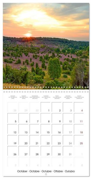 Produktbild: Dupont, A: Journey to Germany (Wall Calendar 2026 12 &times; 12 In