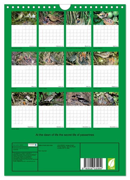 Produktbild: At the dawn of life the secret life of passerines (Wall Calendar 2026 DIN A4 portrait), CALVENDO 12 Month Wall Calendar