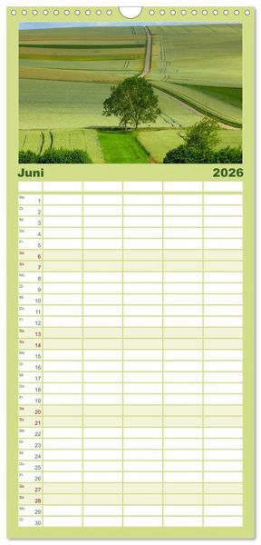 Produktbild: Familienplaner 2026 - Wald und Baum 2026 mit 5 Spalten (Wandkalender, 21 x 45 cm) CALVENDO