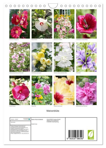 Produktbild: Malvenbl&uuml;te (Wandkalender 2026 DIN A4 hoch), CALVENDO Monatskalender