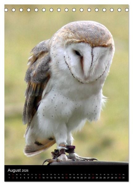Produktbild: Scharfe Krallen, scharfe Augen, Greifv&ouml;gel und Eulen im Wildpark (Tischkalender 2026 DIN A5 hoch), CALVENDO Monatskalender
