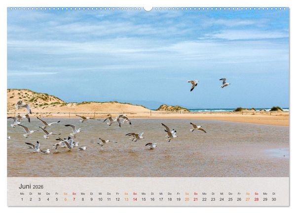 Produktbild: Andalusische Atlantikk&uuml;ste (hochwertiger Premium Wandkalender 2026 DIN A2 quer), Kunstdruck in Hochglanz