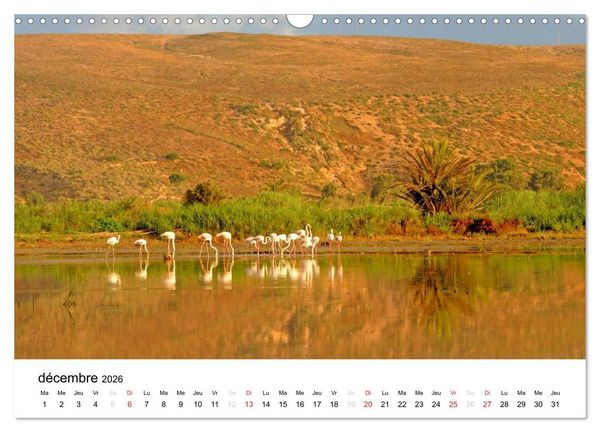 Produktbild: Maroc Au fil de l'eau (Calendrier mural 2026 DIN A3 vertical), CALVENDO calendrier mensuel