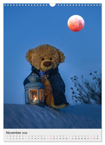 Produktbild: Travelling Teddy liebt es Bunt (Wandkalender 2026 DIN A3 hoch), CALVENDO Monatskalender